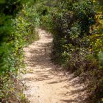 24k88娱乐平台评测:游戏种类丰富,奖金丰厚 2rwb3