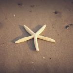 365博彩:全天候在线娱乐体验,尽享无限乐趣 57k97b4bvc