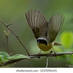 AG真人游戏:带你领略线上博彩的新风潮与精彩 7l70myg1su