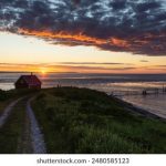 深入了解英亚体育官方的独特优势与用户体验 b4uv90