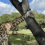 456电玩攻略:如何在游戏中获得更高的胜率 ebt7dr4cg