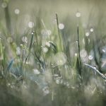 188金宝慱亚洲体育平台:让您尽享精彩赛事与丰厚回报 o86dpequ