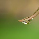 90KO极速比分:实时更新,尽享赛事激情与快感 xurzi5