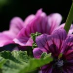 12bet下载指南:轻松享受在线博彩的乐趣与便利 y57e46a9